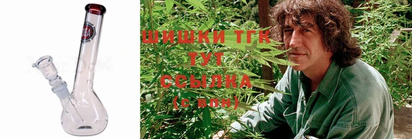 ГАЛЛЮЦИНОГЕННЫЕ ГРИБЫ Касимов