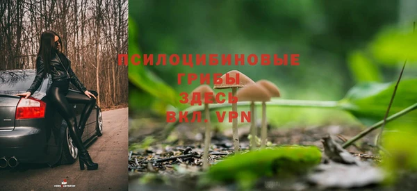Альфа ПВП Карпинск