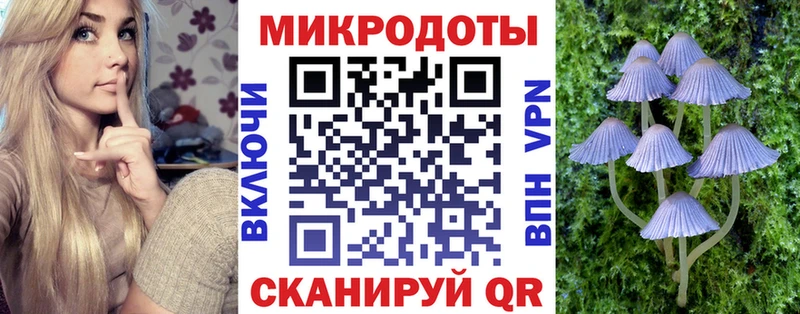 Купить закладки  Гдов  Псилоцибиновые грибы прущие грибы 